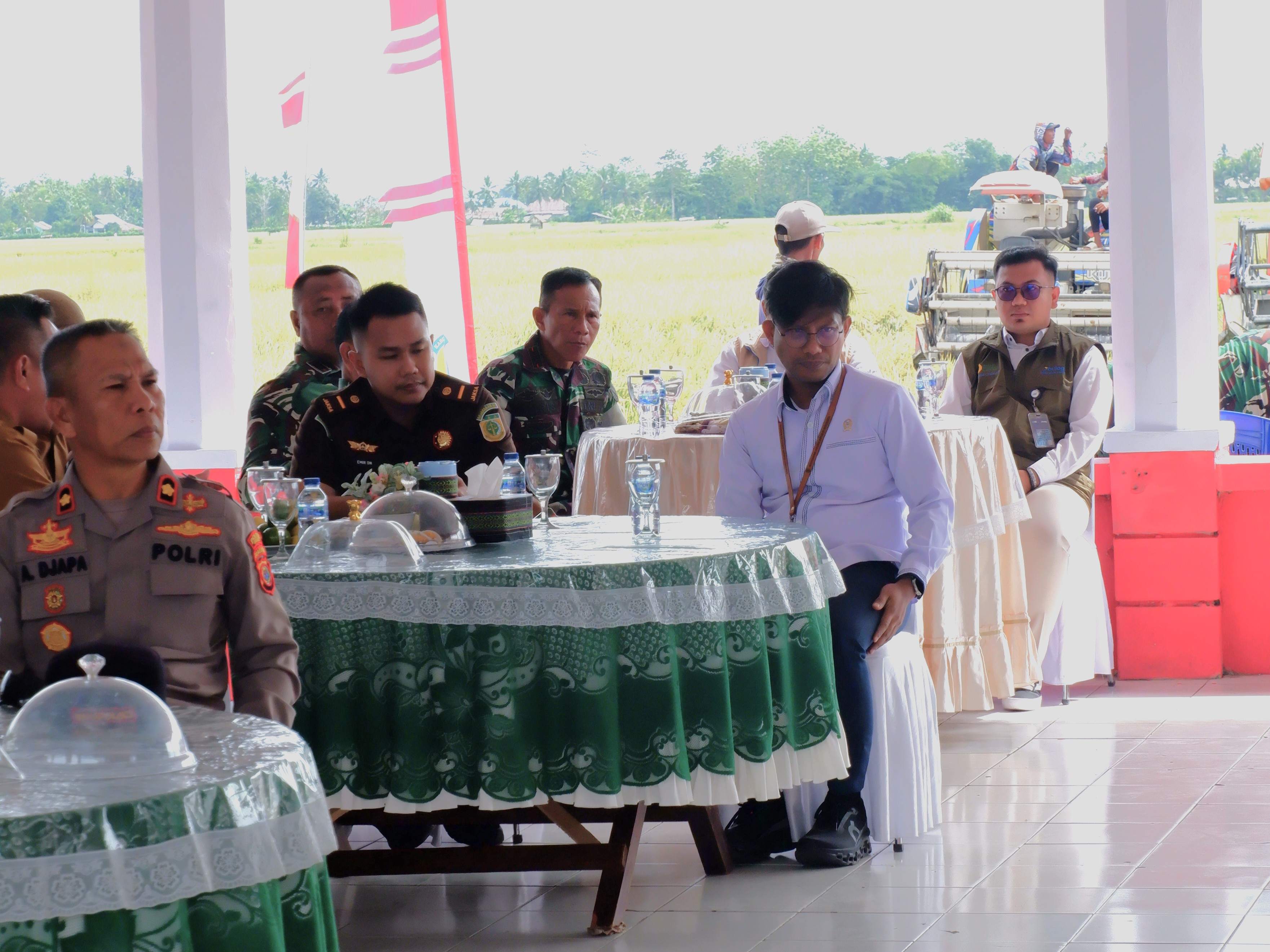 panen raya 2026 7